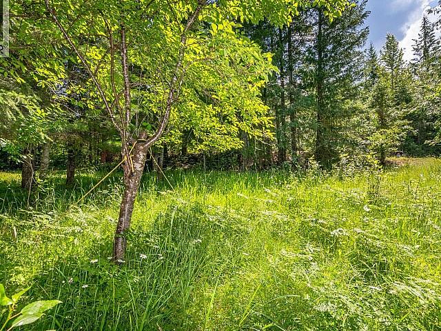 98 Dolly Varden Road Enderby, British Columbia