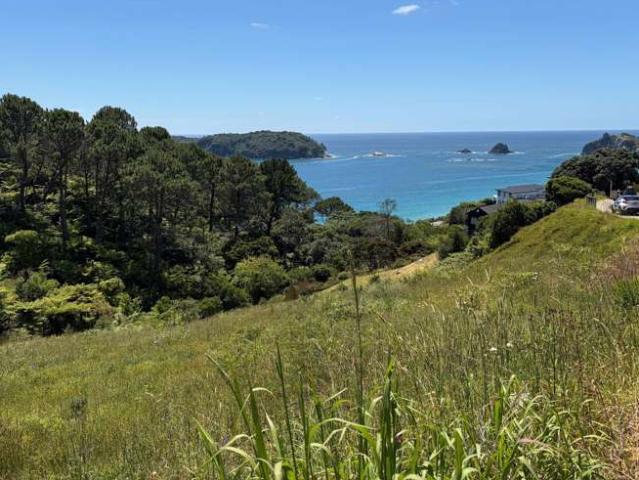 98 Grange Road, Hahei, Thames Coromandel