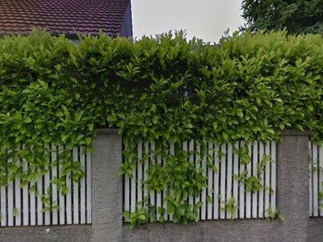 98 m2 apartment for rent in Rheinfelden