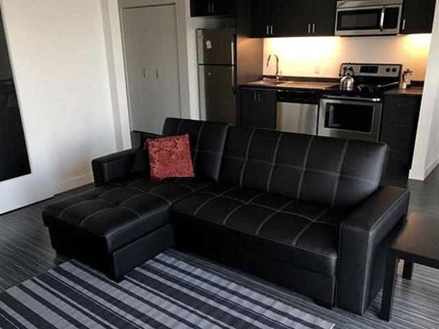 98 Market 1 Bedroom Apartment for Rent at 98 Market Ave, Winnipeg, MB R3B 0W2 Downtown Winnipeg