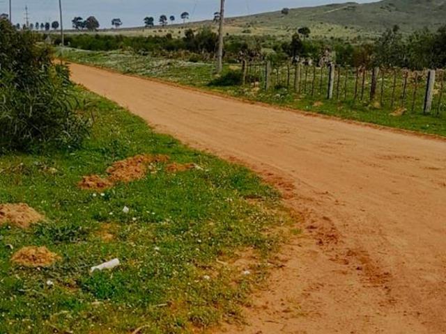 991 m² Land available in Chatsworth