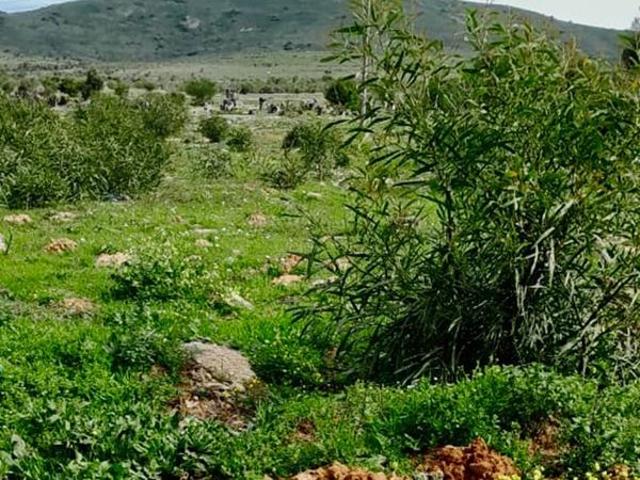 991 m² Land available in Chatsworth