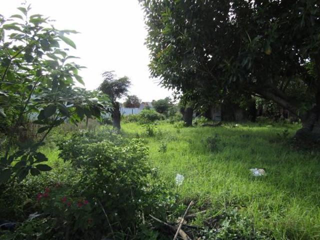 991 m² Land available in Kruisfontein