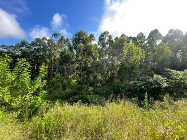 994 m² Land available in Elaleni Coastal Forest Estate