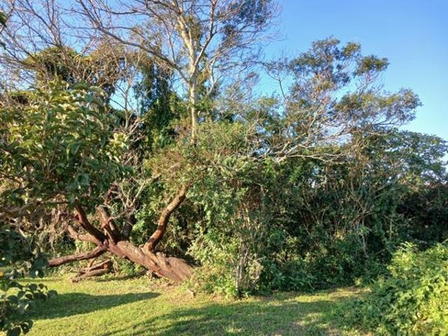 995 m² Land available in Sunrise on Sea