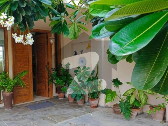 9 Bedroom Beautiful House For Rent In F 10