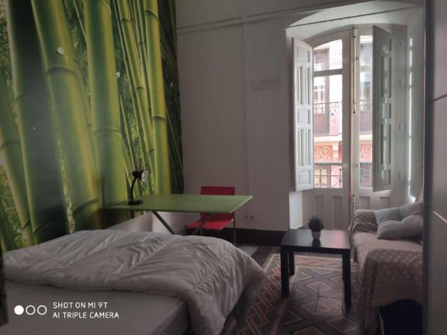 9 Dormitorio Shared Living/Roommate Granada Granada 90352610