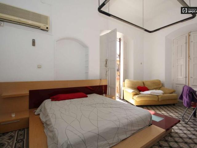 9 Dormitorio Shared Living/Roommate Granada Granada 91245085