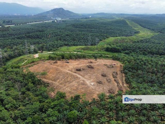 9 Ekar Residential Land 44 Geran Individu Kg Seri Serigala,Ulu Bernam, Selangor