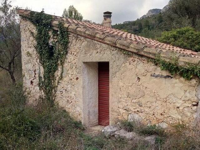 9 FINCAS CON PEQUEÑA MASIA