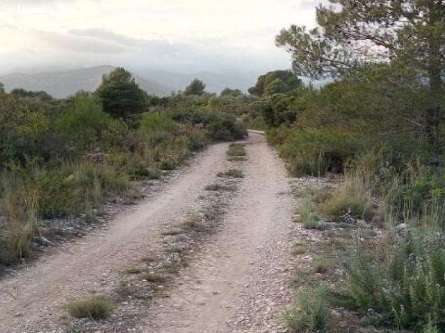 9 FINCAS CON PEQUEÑA MASIA