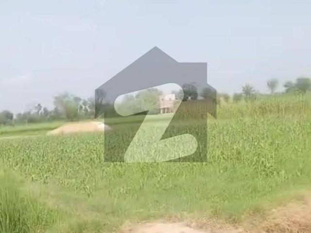9 kanal commercial / residential/ farmhouse plot with brb front