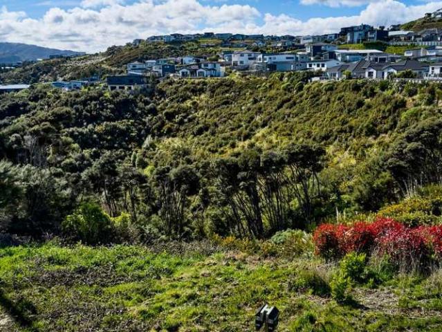 9 Polestar Lane, Whitby, Porirua City