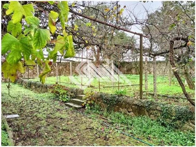 9 quarto, Vila do Conde Vila do Conde 95263957