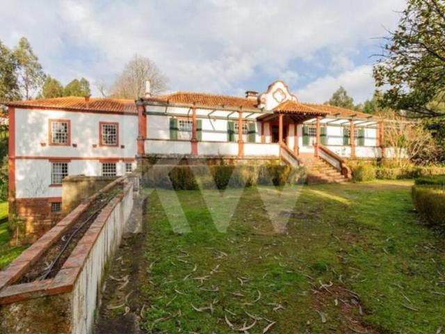 9 quarto, Águeda Águeda 104836312