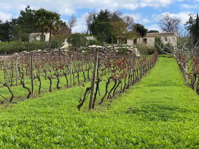 9 quarto, Lagos Algarve LS43086758