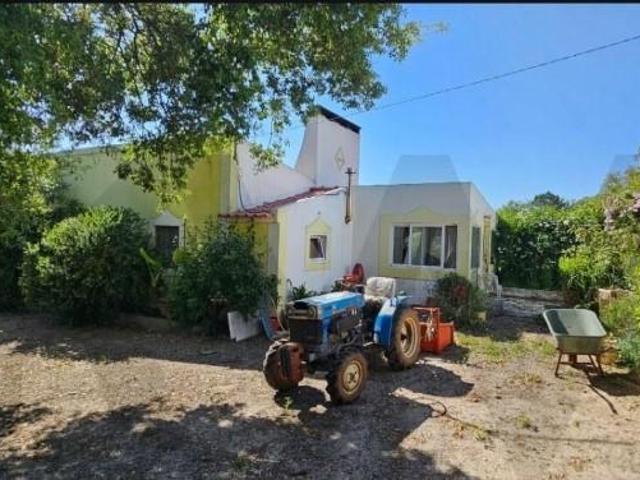 9 quarto, Santiago do Cacém Santiago do Cacém 96849355