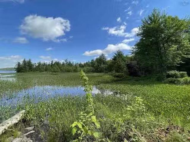9 Silver Road, North Brookfield, NS, B0T 1X0 recreational fo.