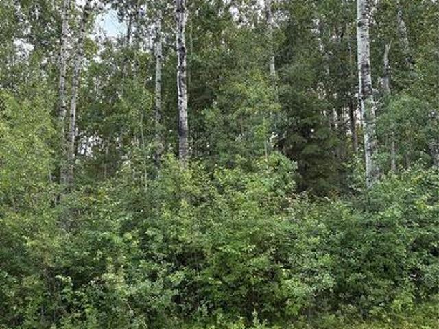 9 Wilson Crescent, Delaronde Lake, SK, S0J 0E0 vacant land for sale | Listing ID SK043694 | Royal LePage