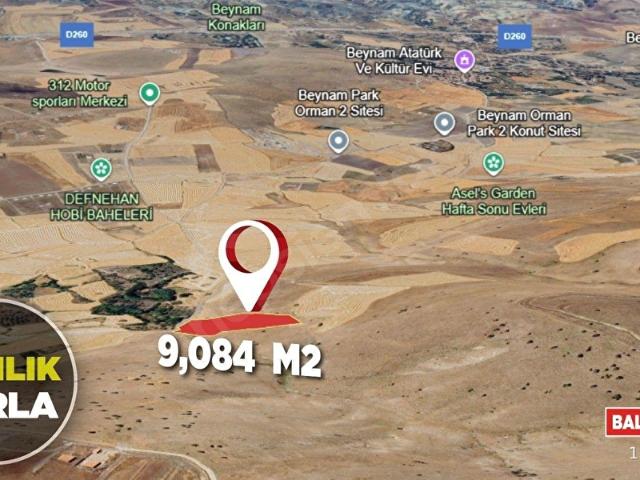 9.084 M TEK TAPU 62 MT KADASTRO YOLA CEPHELİ ACİL SATILIK TARLA