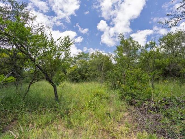 9 031 m² Land available in Moditlo Wildlife Estate