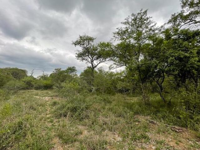 9 031 m² Land available in Moditlo Nature Reserve
