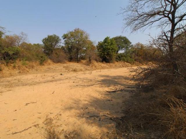 9 031 m² Land available in Moditlo Nature Reserve