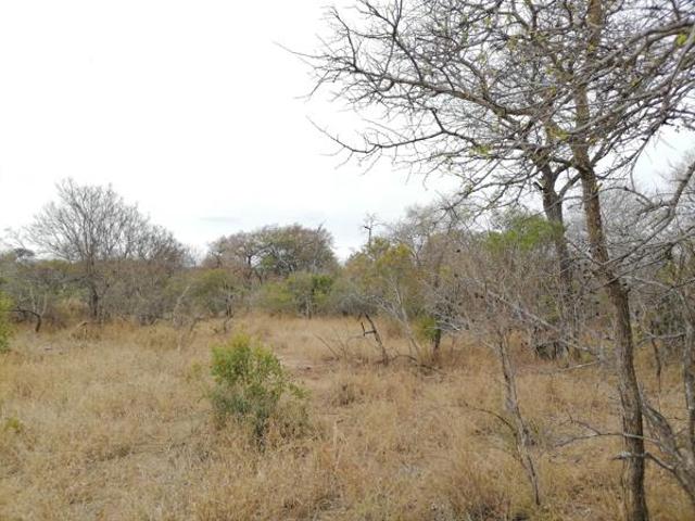 9 031 m² Land available in Moditlo Wildlife Estate