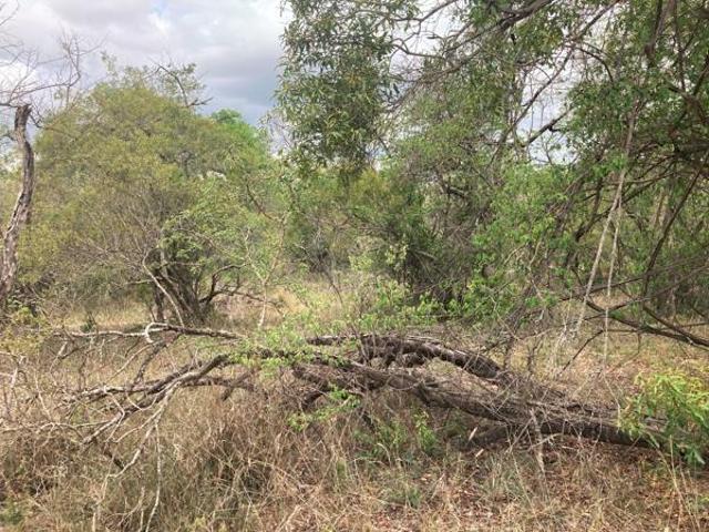9 170 m² Land available in Moditlo Wildlife Estate