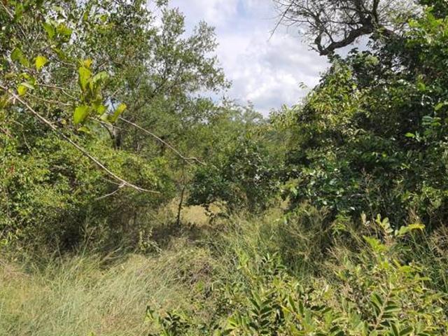 9 170 m² Land available in Moditlo Wildlife Estate