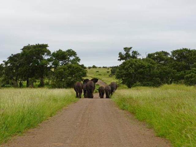 9 114 m² Land available in Moditlo Wildlife Estate
