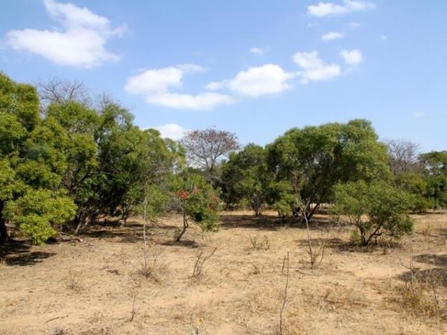 9 114 m² Land available in Moditlo Wildlife Estate