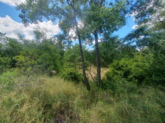 9 134 m² Land available in Moditlo Nature Reserve