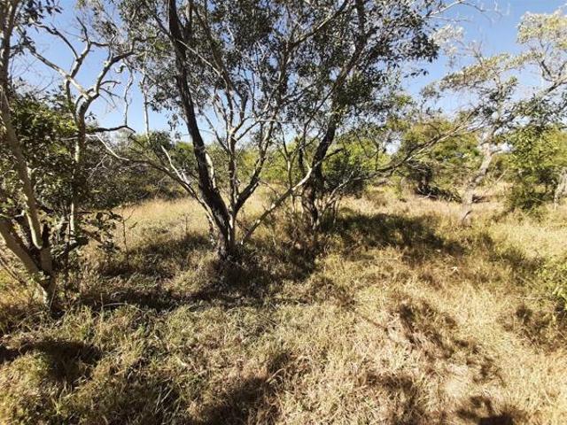 9 245 m² Land available in Moditlo Nature Reserve