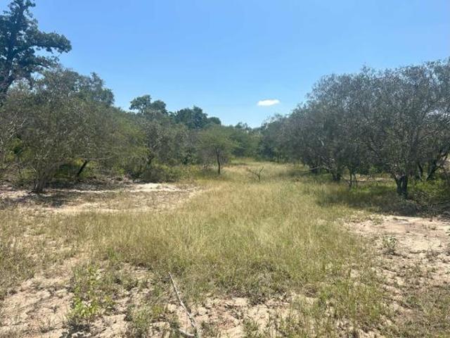 9 269 m² Land available in Moditlo Nature Reserve