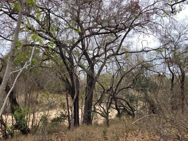 9 269 m² Land available in Moditlo Wildlife Estate