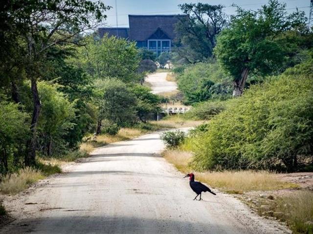 9 341 m² Land available in Moditlo Wildlife Estate