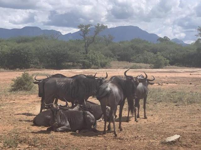 9 350 m² Land available in Moditlo Wildlife Estate