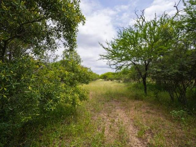 9 368 m² Land available in Moditlo Wildlife Estate