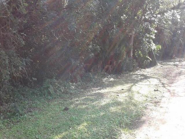 9 334 m² Land available in Southbroom