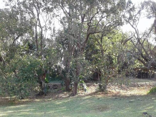 9 334 m² Land available in Southbroom