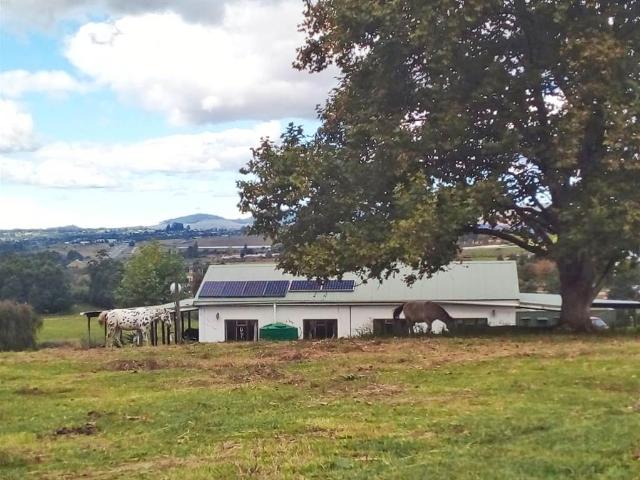 9.3 ha Farm in Howick
