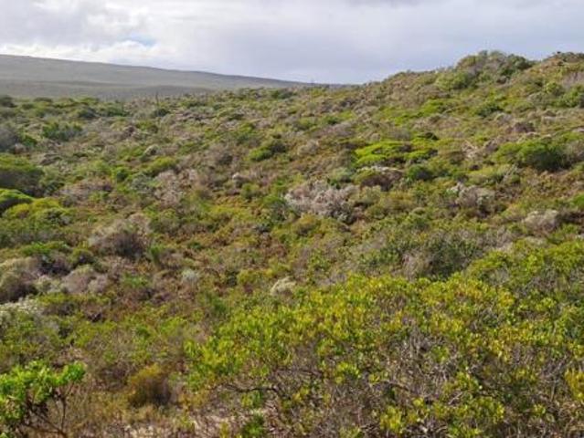 9.3 ha Land available in Suiderstrand