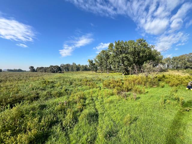 9.4 ha Land available in Allewynspoort AH