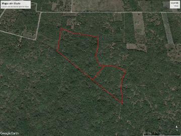 9.5 Ha en Venta Motul, Motul de Carrillo Puerto Centro