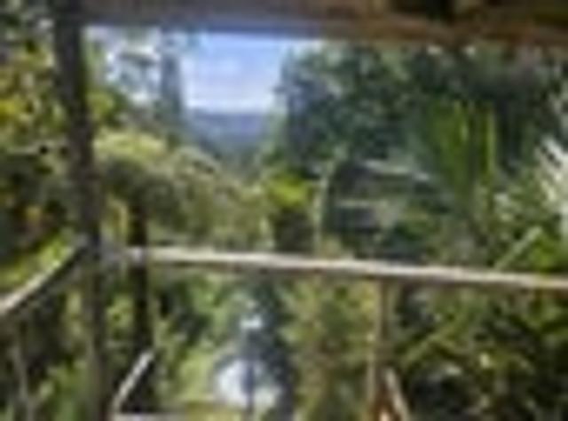 9.5ha with house + 3.5ha Section Buy One or Both