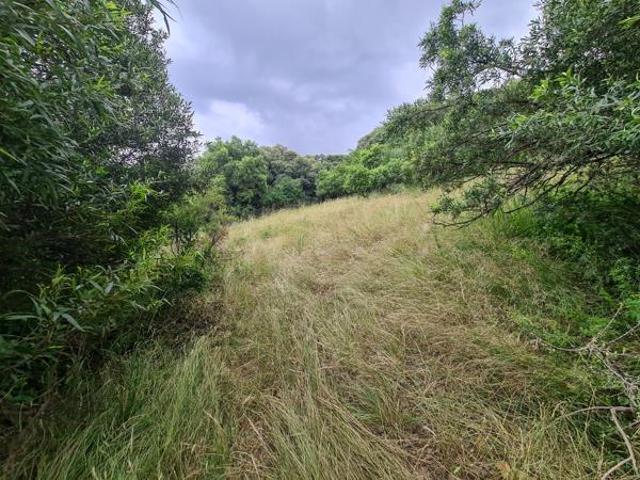 9 680 m² Land available in Xanadu Eco Park