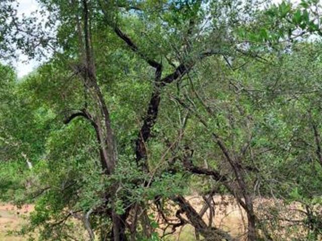 9 621 m² Land available in Moditlo Nature Reserve