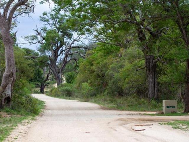9 621 m² Land available in Moditlo Wildlife Estate