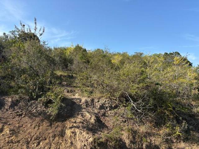 9.6 ha Land available in East London Outlying